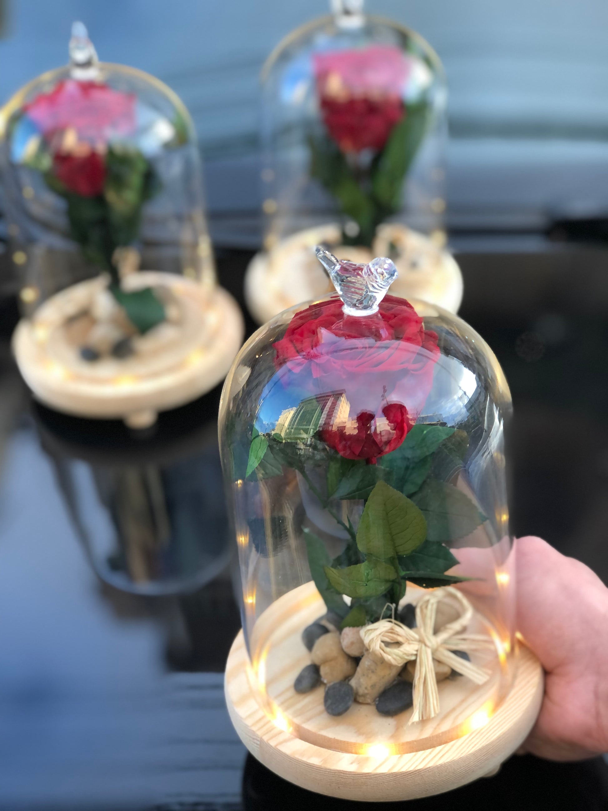 ForEver Rose with Illuminated Glass Vase – Shireen Flowers